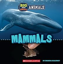 [9781338853575] BIG AND SMALL: MAMMALS